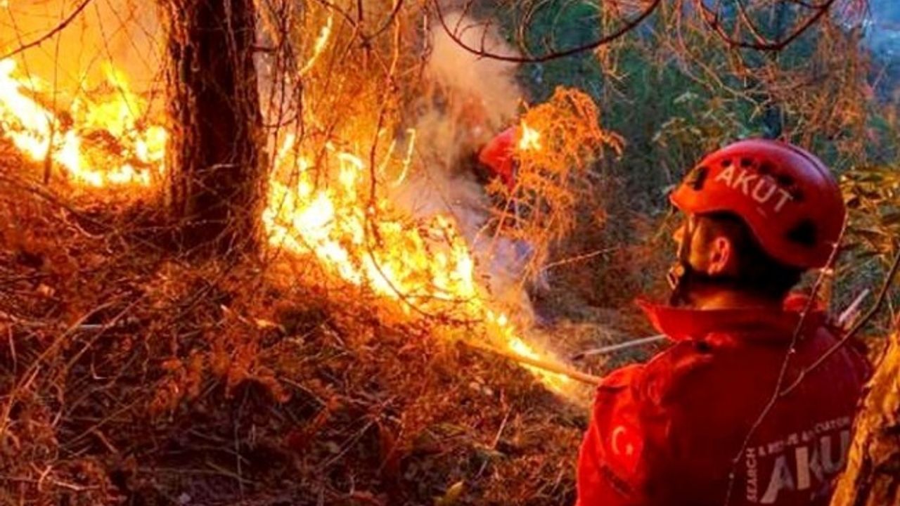 Gökalp; “Orman yangınlarına karşı olağanüstü bir mücadele verildi”