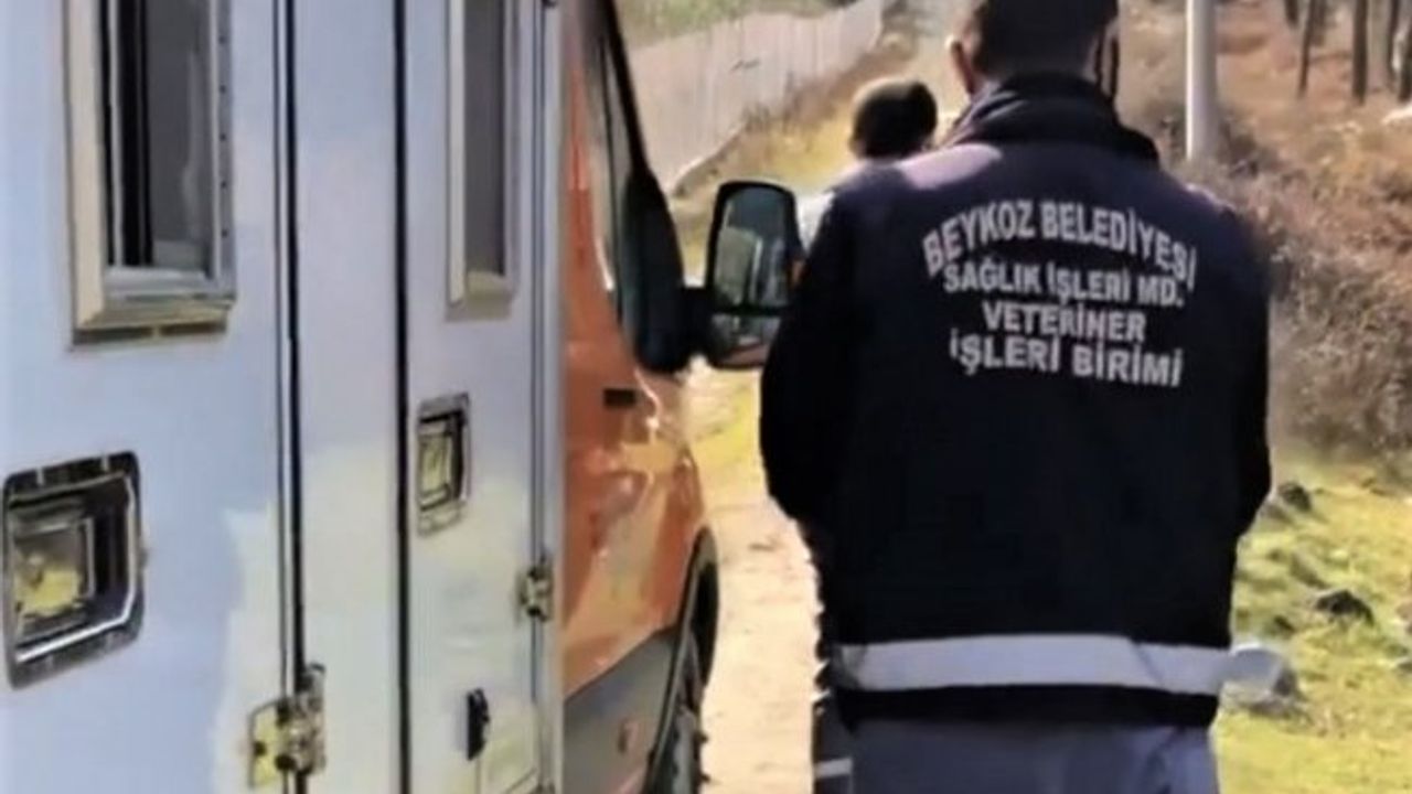Beykoz Belediyesi Sarıyer’de suçüstü yakalandı