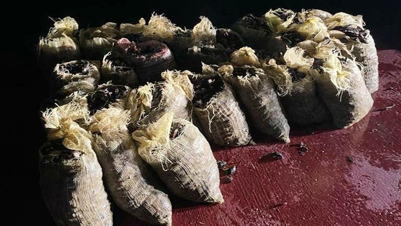 Sarıyer’de 4,5 ton midye ele geçirildi!