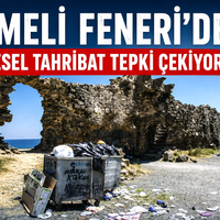SİYASET