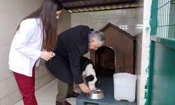 En güzel yeni yıl etkinliği Sarıyer’de