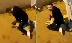 Sarıyer’de köpeği boğmaya çalışan cani tutuklandı!
