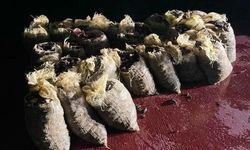 Sarıyer’de 4,5 ton midye ele geçirildi!