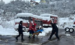 Şilan ve Üzüm Sarıyer’i bir kez daha gururlandırdı