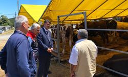 Kaymakam Kalaylı'dan Kurban Satış Noktasına denetim!