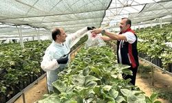 Sarıyer'de tarım numuneleri laboratuvarda!