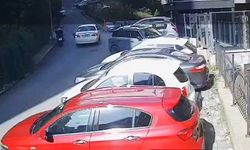 Ayazağa’da sokak hayvanlarını ezmeye teşebbüs!