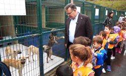 Sarıyer Belediyesi’nden “Patili Dostlar” buluşması