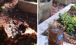 Çayırbaşı Mezarlığı’nda utanç veren manzara!