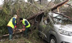 Sarıyer, 30 yılın en şiddetli fırtınasını yaşadı!