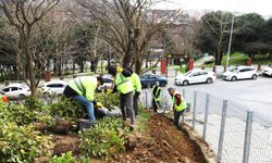Kâğıthane’de yeşil alanlarda bakım ve düzenleme çalışmaları aralıksız sürüyor