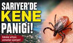 Sarıyer’de kene paniği: Mahalleli ilaçlama istiyor!