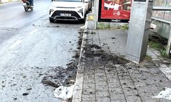 Reşitpaşa’da tepki çeken görüntü!