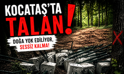 Sarıyer'in akciğerleri Kocataş’ta talan başladı!