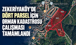 Zekeriyaköy’de dört parsel için orman kadastrosu çalışması tamamlandı