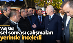 Vali Gül sel sonrası çalışmaları yerinde inceledi