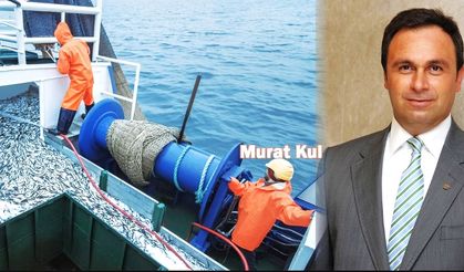 Murat Kul: "Bakanlık kurulsun" talebimiz var