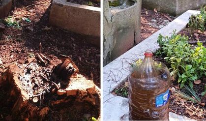 Çayırbaşı Mezarlığı’nda utanç veren manzara!