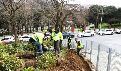 Kâğıthane’de yeşil alanlarda bakım ve düzenleme çalışmaları aralıksız sürüyor