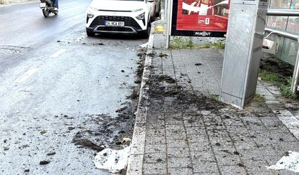 Reşitpaşa’da tepki çeken görüntü!