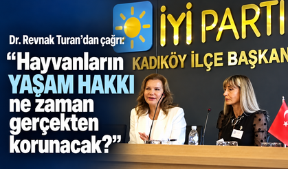 Dr. Revnak Turan’dan sokak hayvanları için anlamlı çağrı!