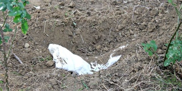 Sarıyer Çayırbaşı’nda esrarengiz gömü!