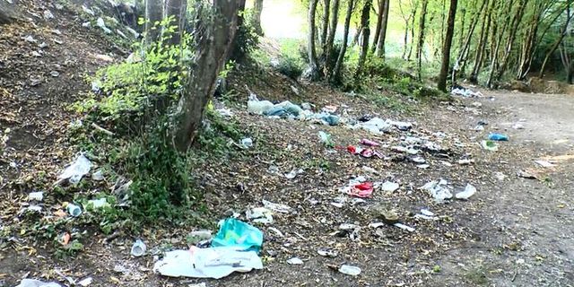 Piknik seven çevre düşmanları!