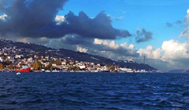 SARIYERLİMİSİNİZ ?