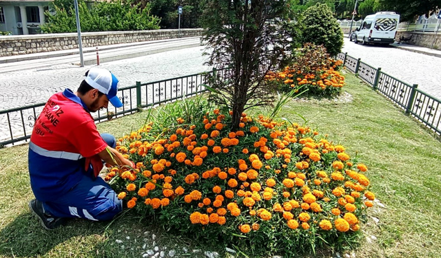 Kâğıthane Belediyesi yeşil alanlara gözü gibi bakıyor