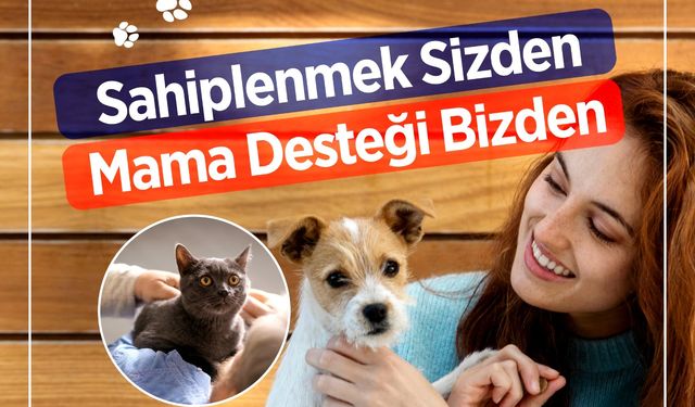 Sarıyer’de “Sahiplenmek sizden mama desteği bizden” kampanyası!