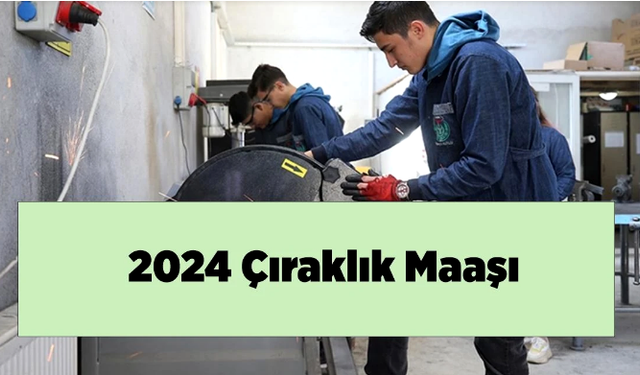 2024 Yılında Çıraklık Maaşları: Yeni Dönemde Beklentiler