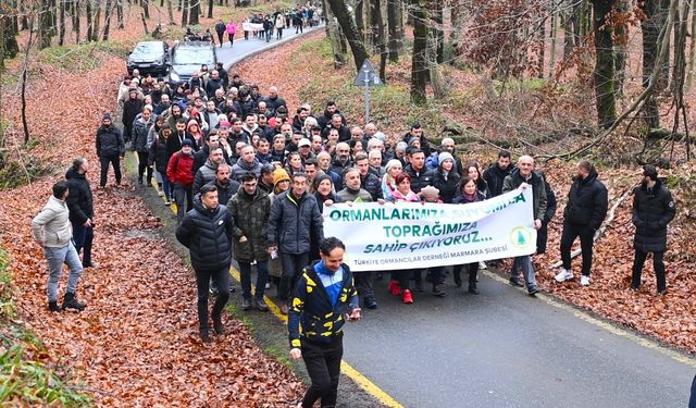 Belgrad Ormanı'nın geleceği tartışma konusu oldu!