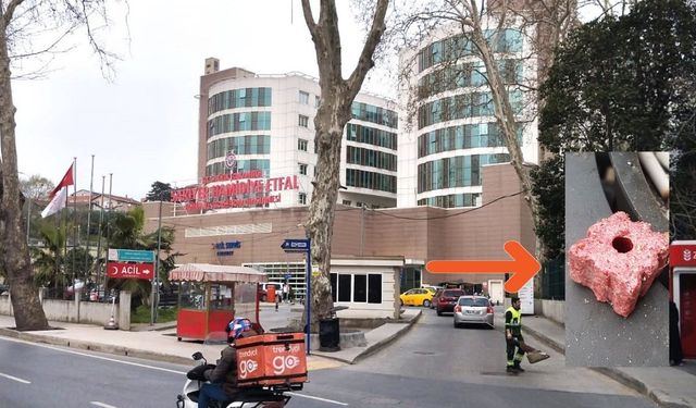Çayırbaşı Hamidiye Etfal Hastanesi'nde hayvan severleri kızdıran İddia!