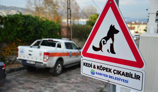 Sarıyer'de hayvanseverleri sevindiren uygulama!