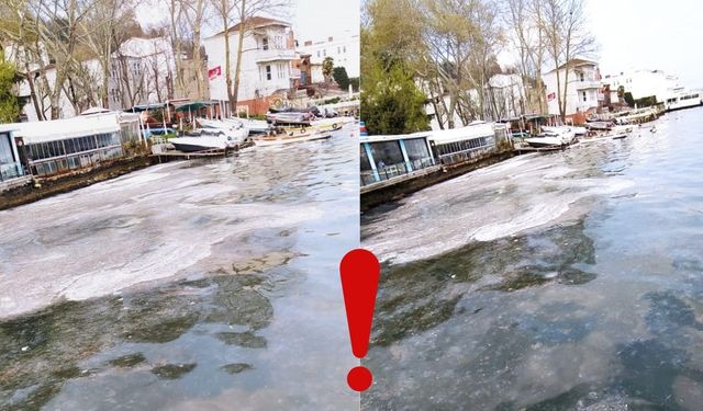Sarıyer sahillerinde müsilaj korkusu yeniden baş gösterdi!