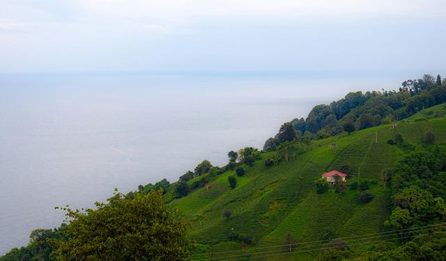 Karadeniz'de Gezilecek Yerler