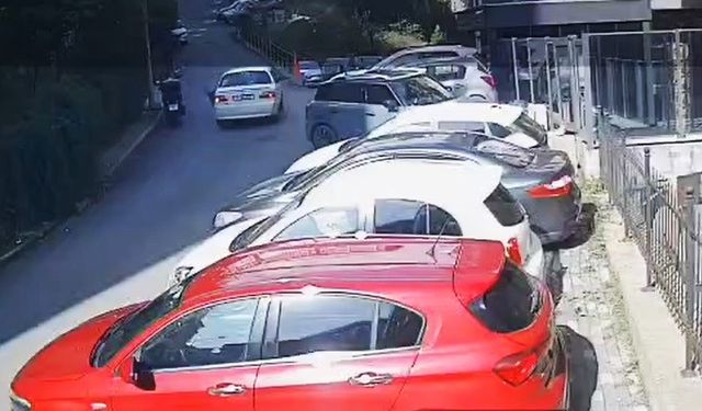 Ayazağa’da sokak hayvanlarını ezmeye teşebbüs!