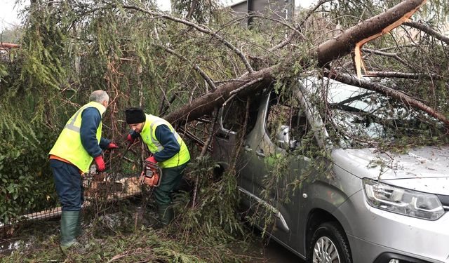 Sarıyer, 30 yılın en şiddetli fırtınasına yaşadı!