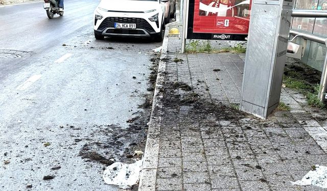 Reşitpaşa’da tepki çeken görüntü!