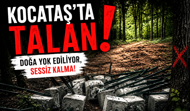 Sarıyer'in akciğerleri Kocataş’ta talan başladı!