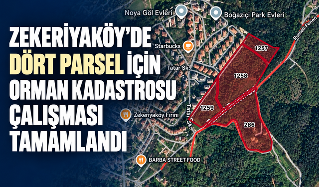 Zekeriyaköy’de dört parsel için orman kadastrosu çalışması tamamlandı