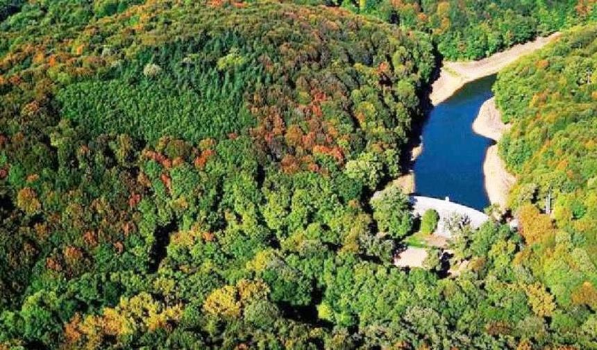 Belgrad Ormanı imara mı açılıyor?