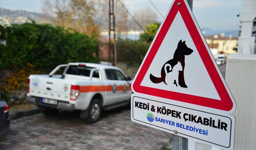 Sarıyer'de hayvanseverleri sevindiren uygulama!