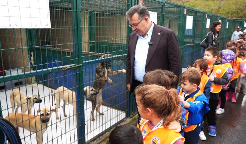 Sarıyer Belediyesi’nden “Patili Dostlar” buluşması
