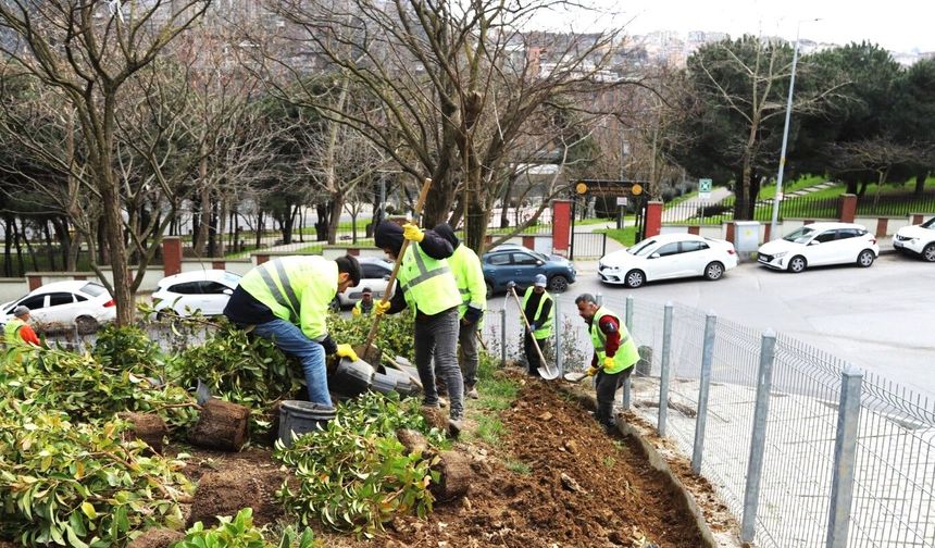 Kâğıthane’de yeşil alanlarda bakım ve düzenleme çalışmaları aralıksız sürüyor