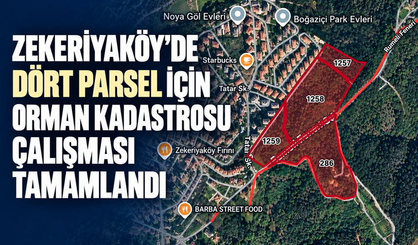 Zekeriyaköy’de dört parsel için orman kadastrosu çalışması tamamlandı
