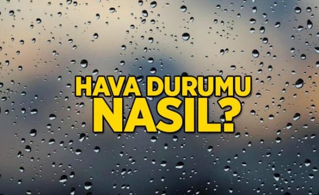 uevey anne pornalar sibel turnagöl gençliği