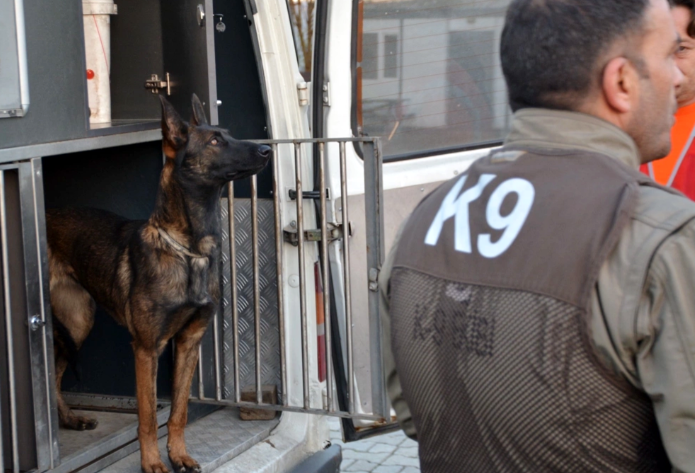 şilan-sariyer-belediyesi-arama-kurtarma-köpeği