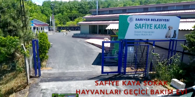 Safiye Kaya Sarıyer Belediyesi