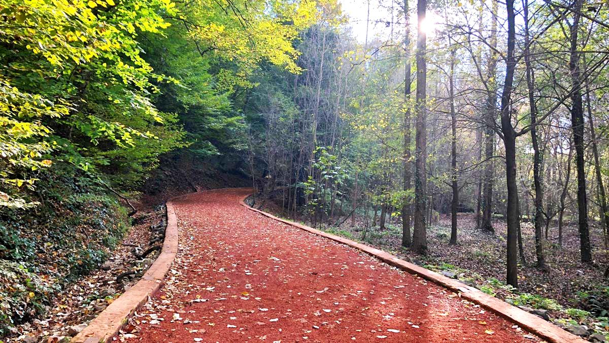 Bahçeköy Belgrad Ormanı Sariyer Posta 1 (1)